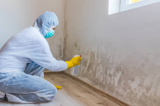 Hvac And Air Duct Mold Remediation inspection of HVAC system in Petersburg